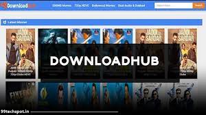 Downloadhub downloader